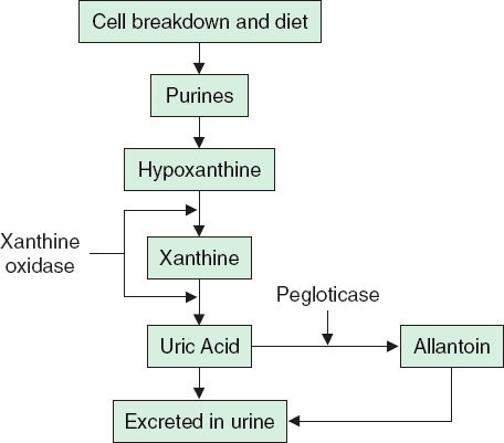 thuốc trị gout